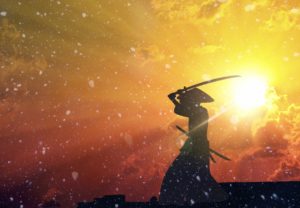 武家諸法度とは？目的や内容と参勤交代の知られざる謎についても言及！