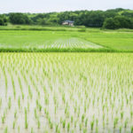 太閤検地とは？わかりやすく解説！目的や意義、石高についても！