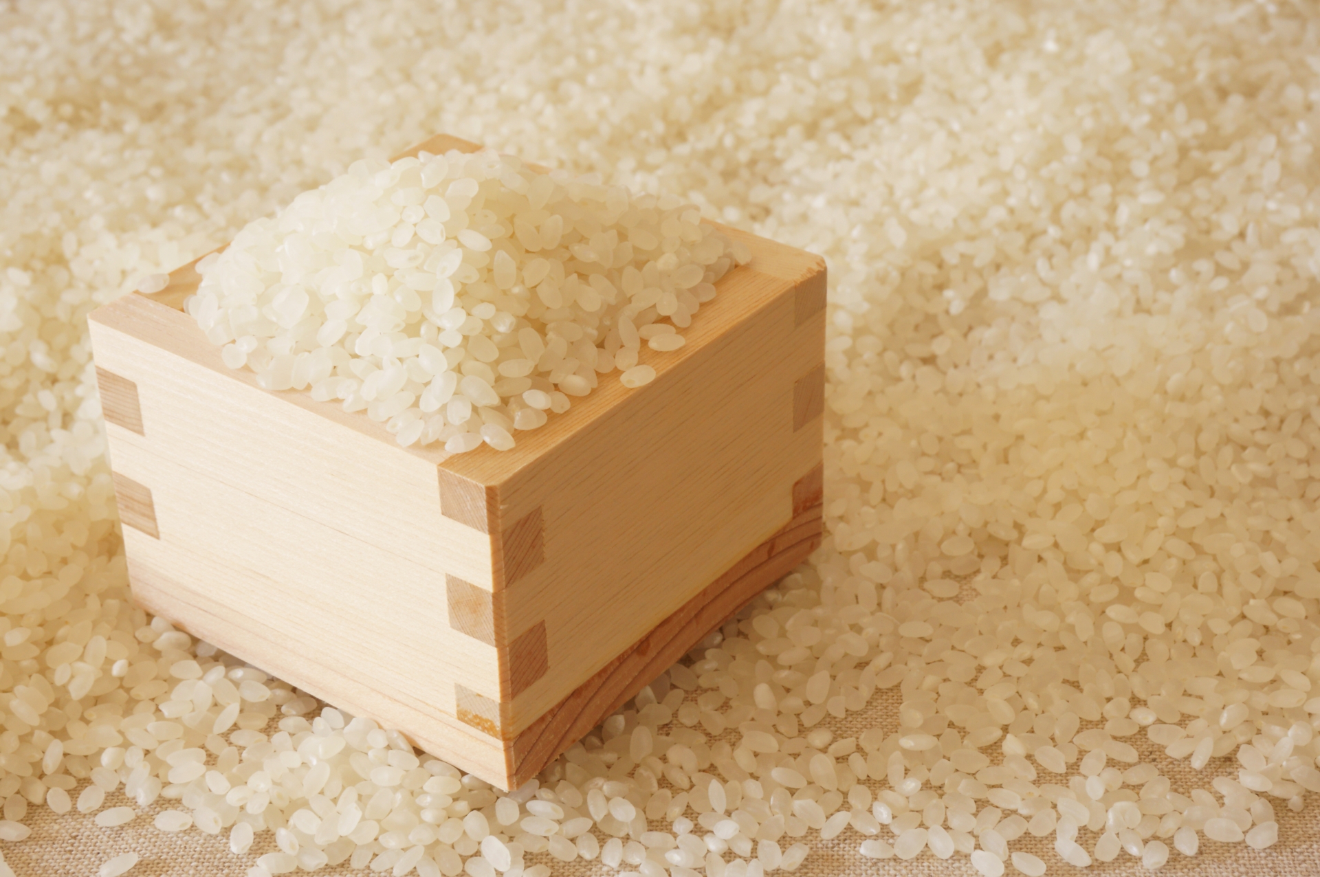 享保の改革とは?改革の内容や結果、享保の大飢饉について!三大改革の違いも言及!