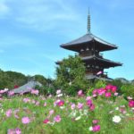 飛鳥時代の服装や文化と有名な人物！聖徳太子の謎についても考察！